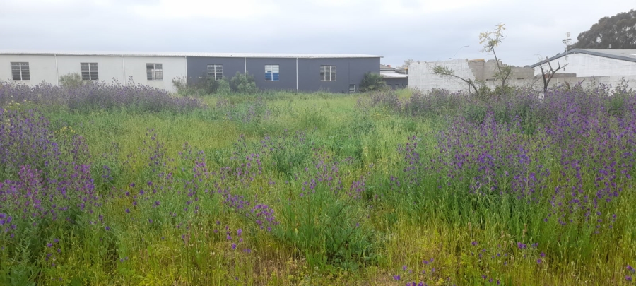  Bedroom Property for Sale in Moorreesburg Western Cape
